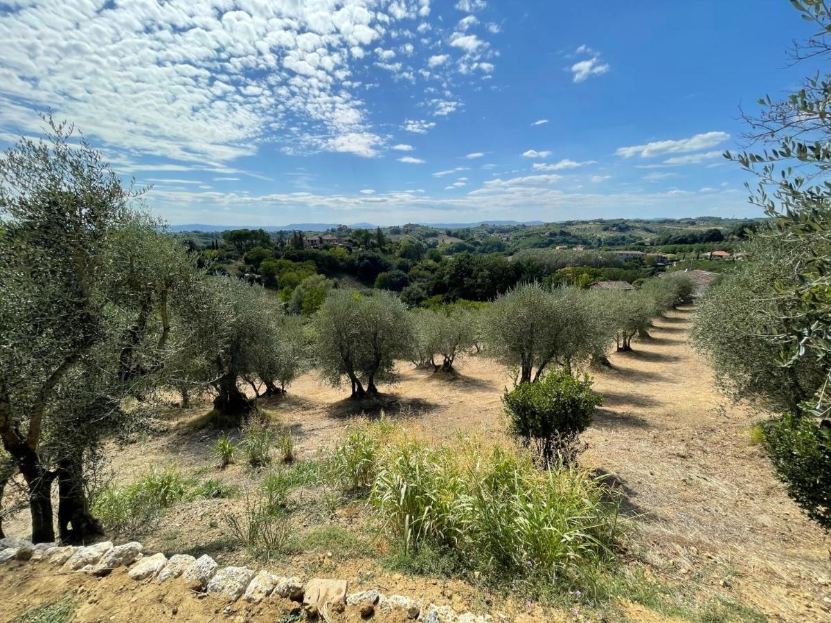 Oliveta Del Verde Appartamento Con Grande Giardino 500Mt Dal Centro Сієна Екстер'єр фото